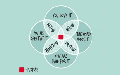 This Is Your Purpose