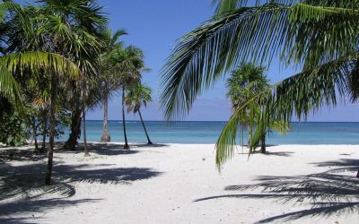 Ready For A Holiday?