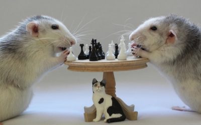 Why your marketing’s too complex