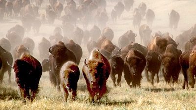 2 ways you can be outstanding