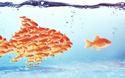 The ultimate persuasion?