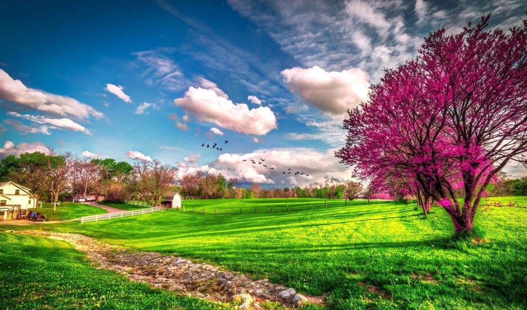 Spring