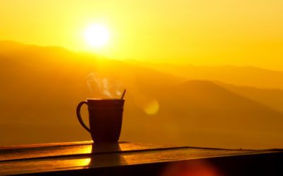 Something to do this morning