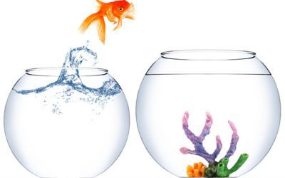 This changes everything