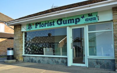 Why your name matters