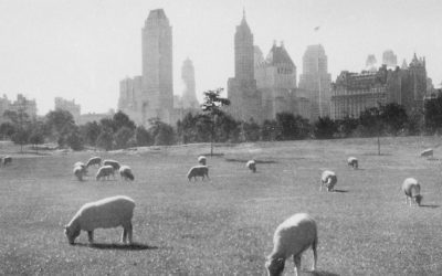 Are you solid or fuzzy?