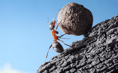 The simple truth that’s holding you back