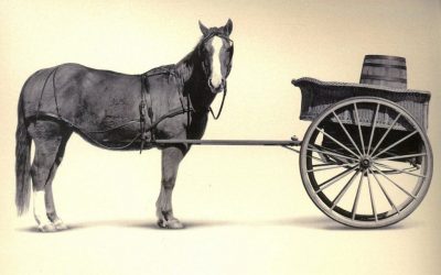 Why you don’t need a coach