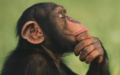 You’ll want to think about this…