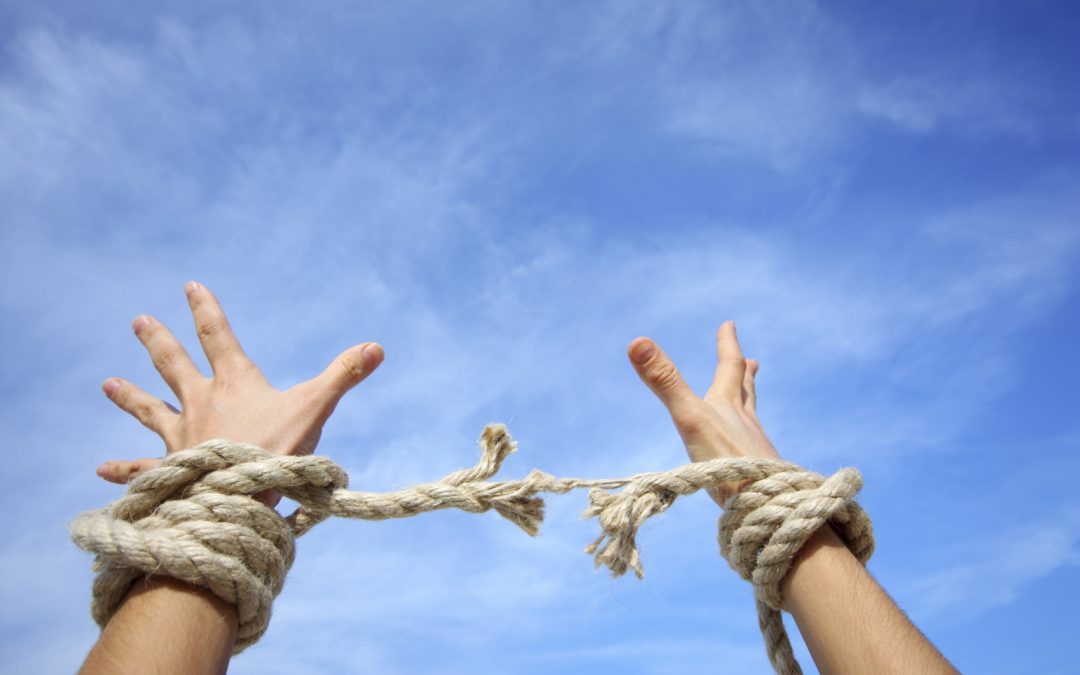 The REAL aim of your business