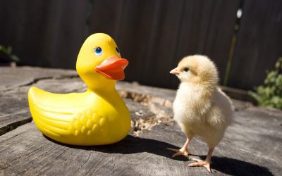 Why being authentic won’t do