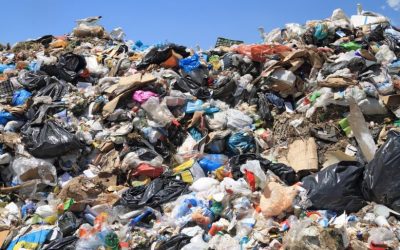 Treating your brain like landfill