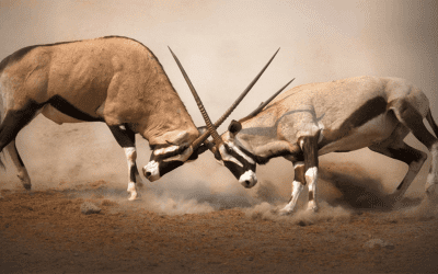 How to earn money ethically