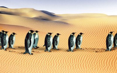 This may be inconvenient