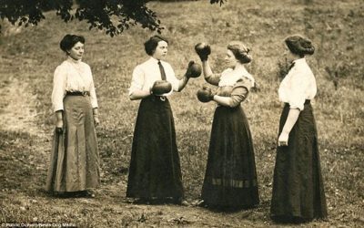 Do you want a fight?