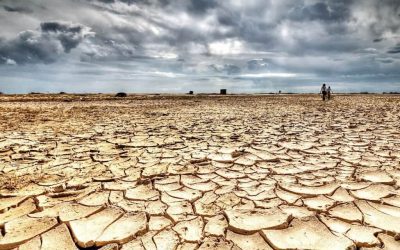 Why scarcity is your secret weapon