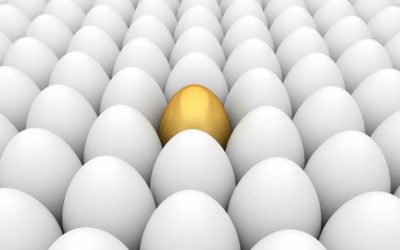 Why you’re a golden egg