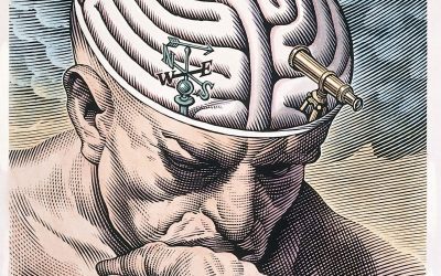 What are you looking at?