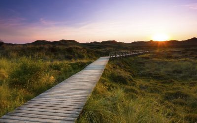 How to choose a coach or mentor