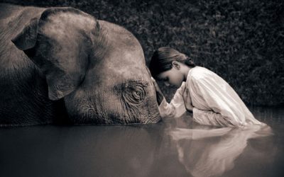 The most appealing thing about you