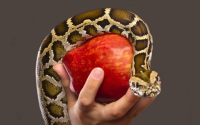 Why you can’t have a life like mine