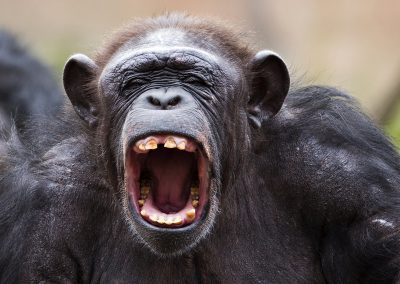 Why you’re undervaluing yourself