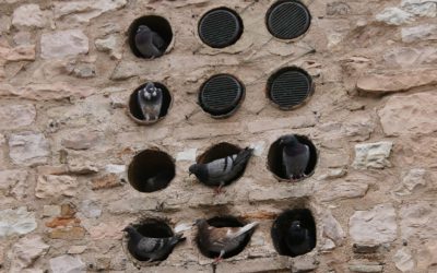 Are you stuck in a hole?