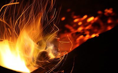 The World’s Most Important Job?