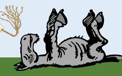 Your #1 waste of time