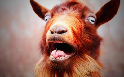 What people really think of you