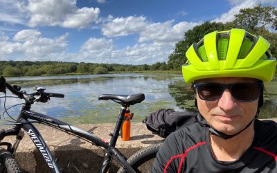 What’s missing from your business