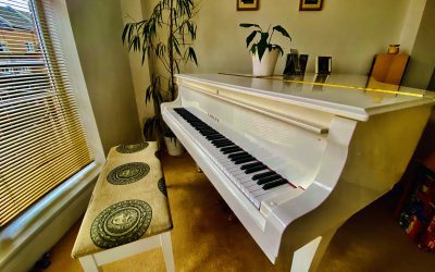 So you think this is new?