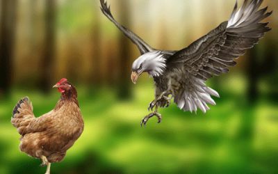 Read This And Weep…