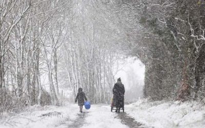 Something to do today