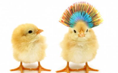 One thing you might be missing