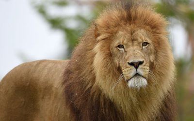 How to win clients better than you