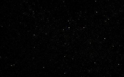 My neighbour just died