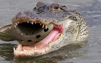 The funny thing about you…