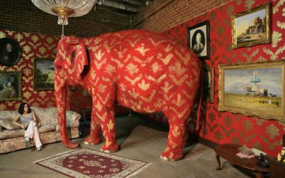 The elephant in the way